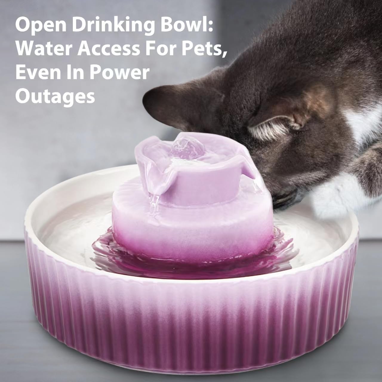 Ceramic Cat Water Fountain, 2.1L/71oz, 3 Filters and 2 Pumps Included