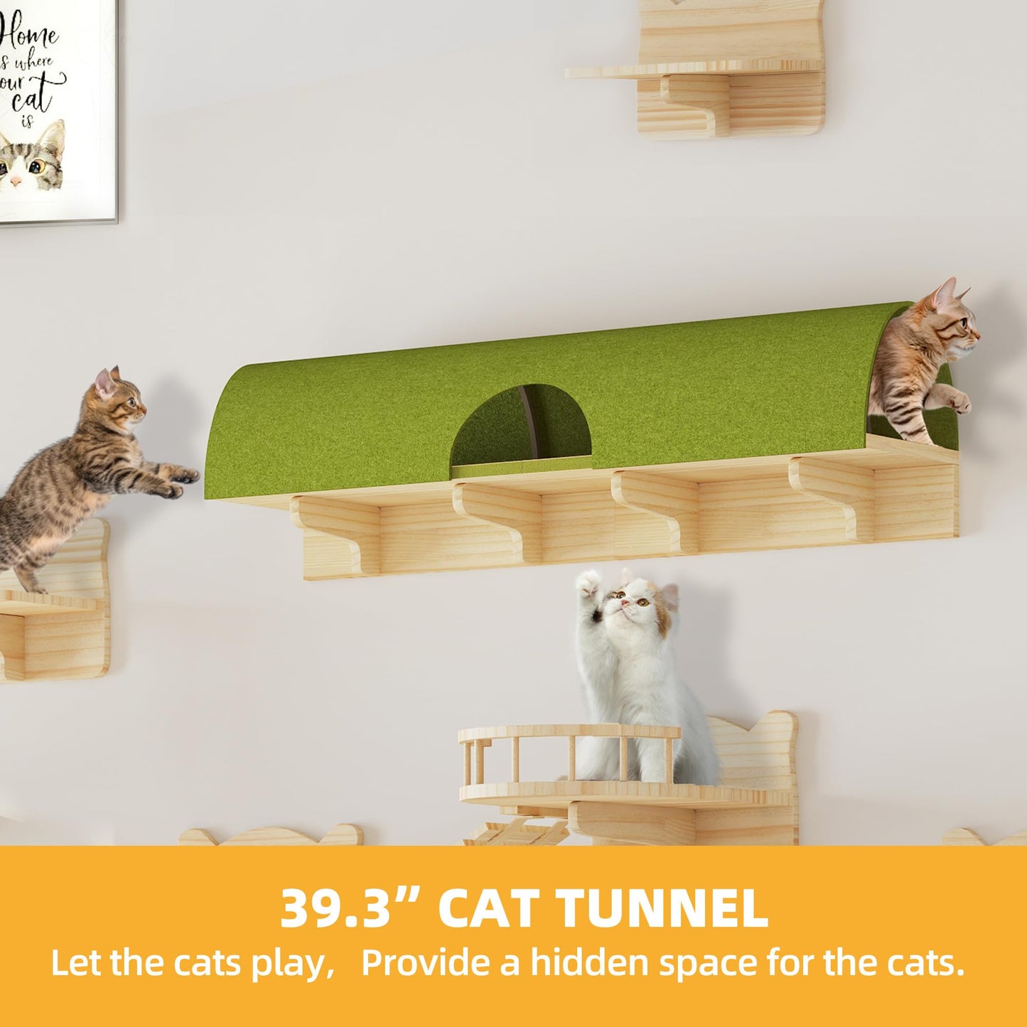 Pine Wooden Wall Mounted Cat Furniture