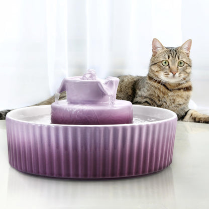 Ceramic Cat Water Fountain, 2.1L/71oz, 3 Filters and 2 Pumps Included